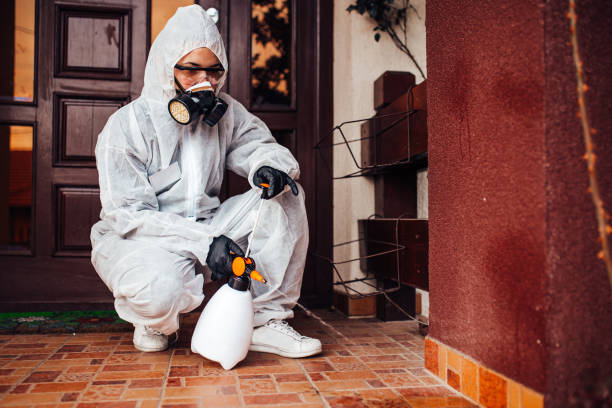 Attic and Crawl Space Rodent Treatment in Surf City